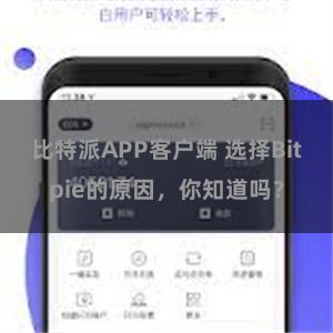 比特派APP客户端 选择Bitpie的原因，你知道吗？