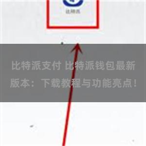 比特派支付 比特派钱包最新版本：下载教程与功能亮点！