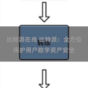 比特派在线 比特派：全方位保护用户数字资产安全