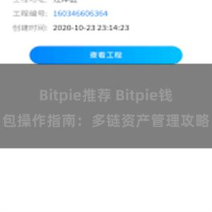 Bitpie推荐 Bitpie钱包操作指南：多链资产管理攻略