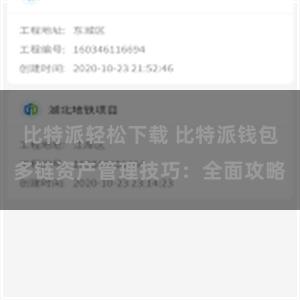 比特派轻松下载 比特派钱包多链资产管理技巧：全面攻略