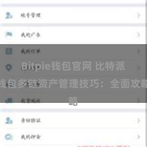 Bitpie钱包官网 比特派钱包多链资产管理技巧：全面攻略