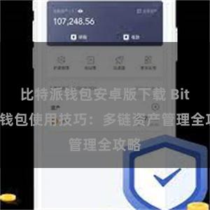 比特派钱包安卓版下载 Bitpie钱包使用技巧：多链资产管理全攻略