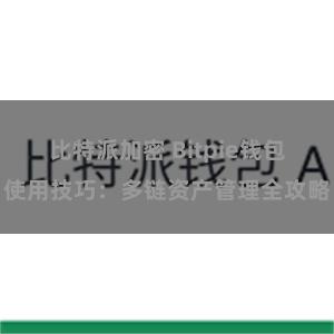 比特派加密 Bitpie钱包使用技巧：多链资产管理全攻略