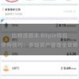 比特派版本 Bitpie钱包使用技巧：多链资产管理全攻略