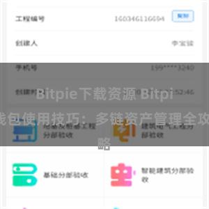 Bitpie下载资源 Bitpie钱包使用技巧：多链资产管理全攻略