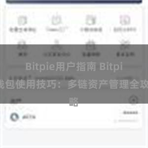 Bitpie用户指南 Bitpie钱包使用技巧：多链资产管理全攻略