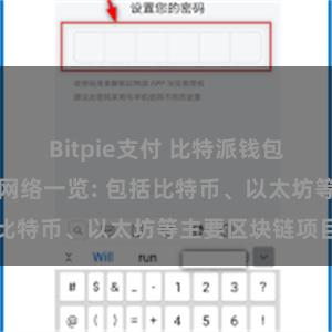 Bitpie支付 比特派钱包支持的区块链网络一览: 包括比特币、以太坊等主要区块链项目