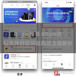 Bitpie推荐 Bitpie钱包支持的区块链网络全面解析