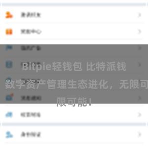 Bitpie轻钱包 比特派钱包：数字资产管理生态进化，无限可能！