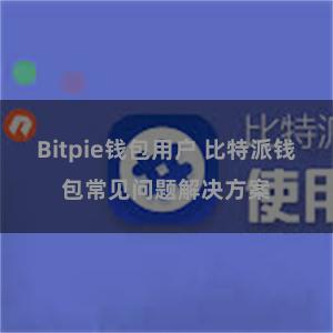 Bitpie钱包用户 比特派钱包常见问题解决方案