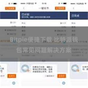 Bitpie便捷下载 比特派钱包常见问题解决方案