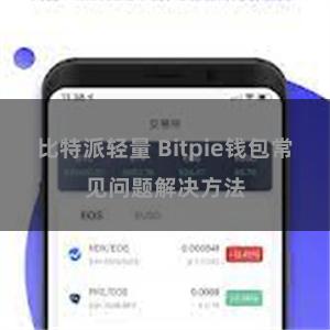 比特派轻量 Bitpie钱包常见问题解决方法