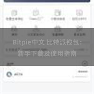 Bitpie中文 比特派钱包：新手下载及使用指南