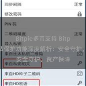 Bitpie多币支持 Bitpie钱包隐私保护功能深度解析：安全守护，资产保障