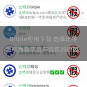 Bitpie应用下载 选择比特派作为数字资产钱包的原因。