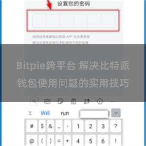 Bitpie跨平台 解决比特派钱包使用问题的实用技巧