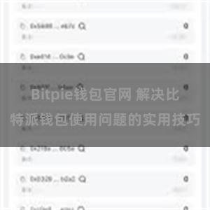 Bitpie钱包官网 解决比特派钱包使用问题的实用技巧