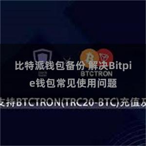 比特派钱包备份 解决Bitpie钱包常见使用问题