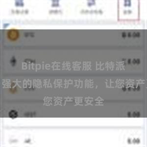 Bitpie在线客服 比特派钱包：强大的隐私保护功能，让您资产更安全