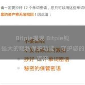 Bitpie提现 Bitpie钱包：强大的隐私保护功能，守护您的资产