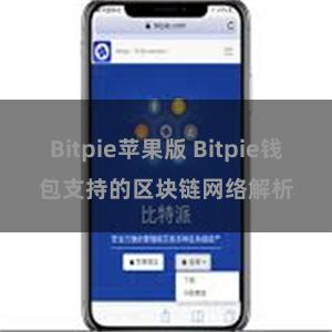 Bitpie苹果版 Bitpie钱包支持的区块链网络解析