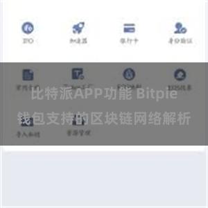 比特派APP功能 Bitpie钱包支持的区块链网络解析