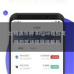 比特派币种 Bitpie钱包支持的区块链网络解析