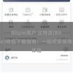 Bitpie用户 比特派(Bitpie)钱包下载指南：一站式安装体验