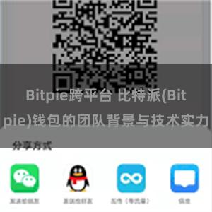 Bitpie跨平台 比特派(Bitpie)钱包的团队背景与技术实力