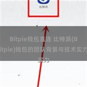 Bitpie钱包直连 比特派(Bitpie)钱包的团队背景与技术实力