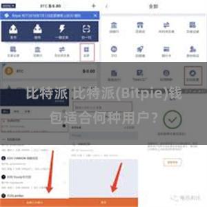 比特派 比特派(Bitpie)钱包适合何种用户？