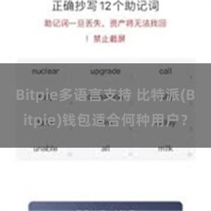 Bitpie多语言支持 比特派(Bitpie)钱包适合何种用户？