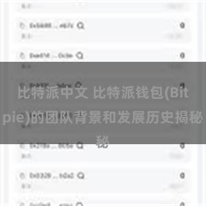 比特派中文 比特派钱包(Bitpie)的团队背景和发展历史揭秘