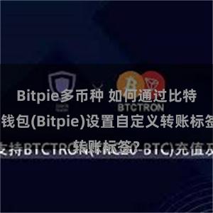 Bitpie多币种 如何通过比特派钱包(Bitpie)设置自定义转账标签？