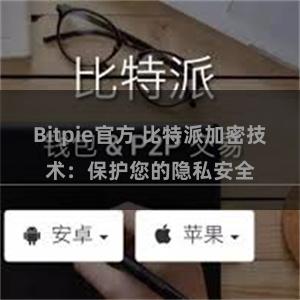 Bitpie官方 比特派加密技术：保护您的隐私安全