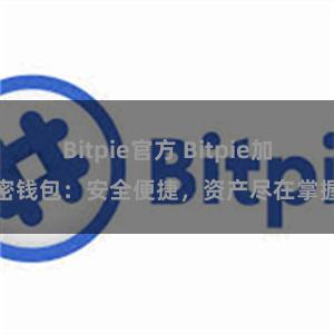 Bitpie官方 Bitpie加密钱包：安全便捷，资产尽在掌握