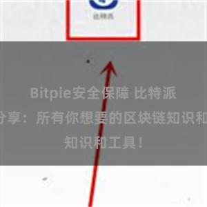 Bitpie安全保障 比特派资源分享：所有你想要的区块链知识和工具！
