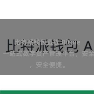 比特派钱包直连 Bitpie在线，一站式数字资产管理平台，安全便捷。