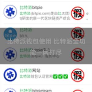 比特派钱包使用 比特派全功能一网打尽