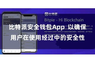 比特派安全钱包App  以确保用户在使用经过中的安全性