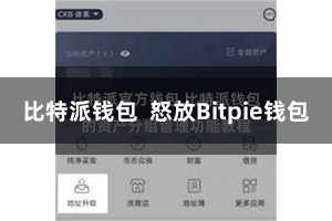 比特派钱包  怒放Bitpie钱包